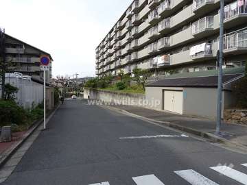 南側前面道路とマンション建物一部