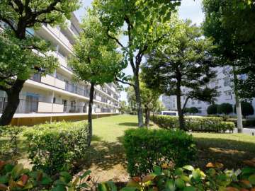 75棟南側の緑地