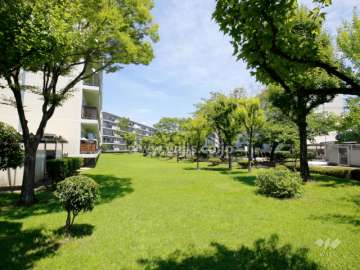 60棟の南側の緑地