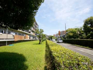 67棟南側の緑地と駐車場