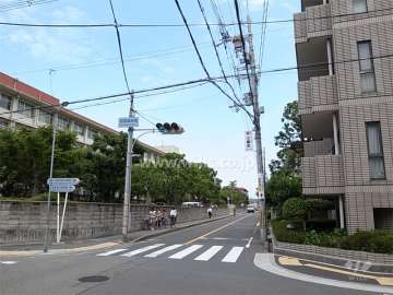 敷地北側の前面道路。道を挟んで北側には桜塚高校があります。