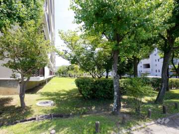 73棟南側の緑地