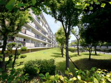 78棟南側の緑地