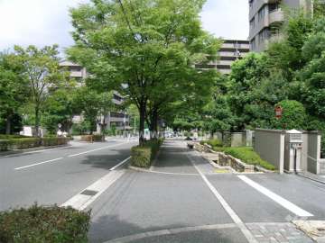 街路樹がきれいな前面道路