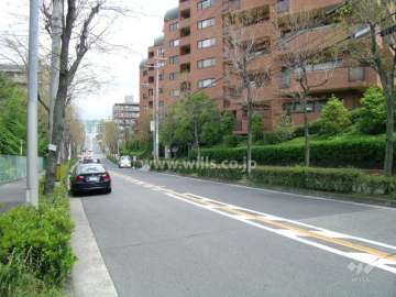 街路樹のきれいな前面道路