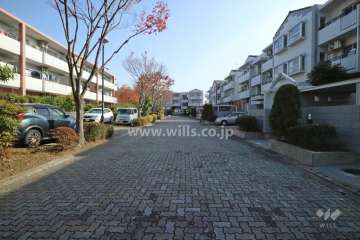 敷地北東側の前面道路