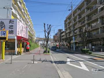 敷地北側の前面道路（西側から）
