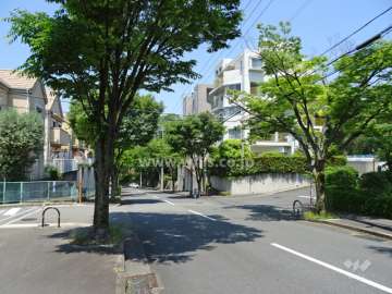 敷地西側の前面道路