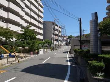 敷地南側の前面道路。周辺はマンションが多く立ち並ぶ閑静な住宅地です。