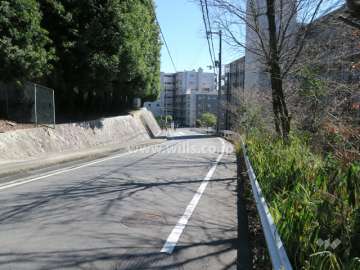 敷地北側の前面道路