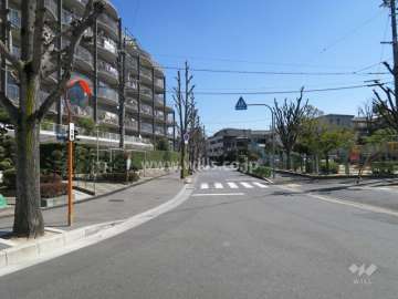 敷地南側の前面道路