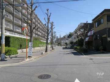 敷地南側の前面道路