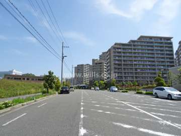敷地北西側の前面道路。