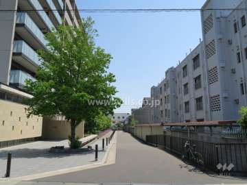 敷地南側の前面道路。