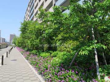 敷地内の各所に植栽スペースが設けられています。