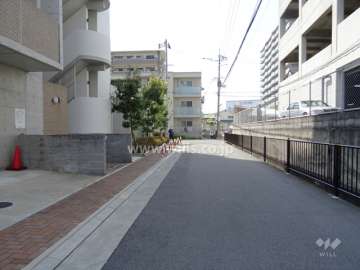 敷地北側の前面道路