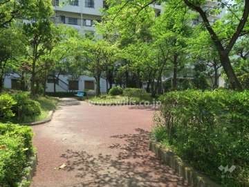 敷地に隣接する広場