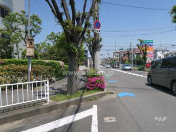敷地東側の前面道路
