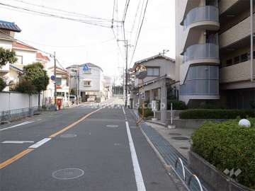 敷地北側の前面道路。この道をまっすぐ行くと緑地公園があります。