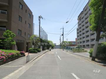 敷地西側の前面道路