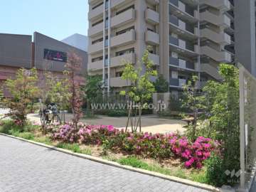敷地北側に隣接する公園