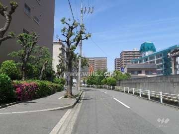 敷地西側の前面道路