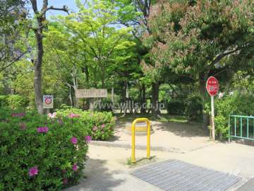 公園はたいへん緑豊かです。