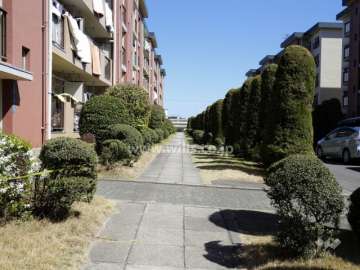 敷地内の通路。