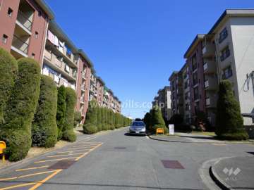 A-5棟、建物の南側の様子。前棟（A-6棟とA-7棟）とは間隔があります。