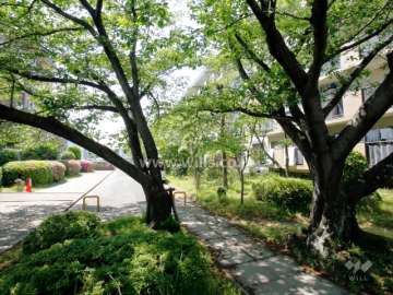 敷地内は緑豊かです。