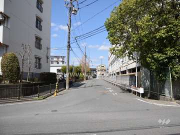 敷地東側の前面道路