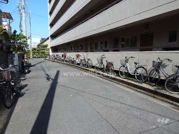 敷地北側の前面道路