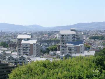 マンションの遠景