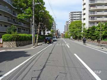 敷地東側の前面道路