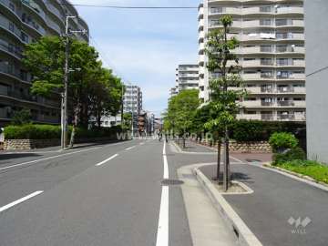 敷地西側の前面道路