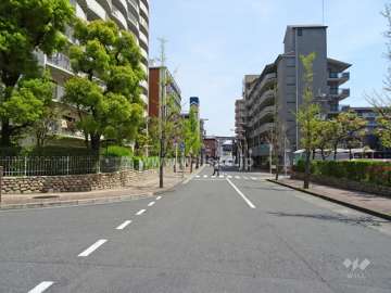 敷地南側の前面道路