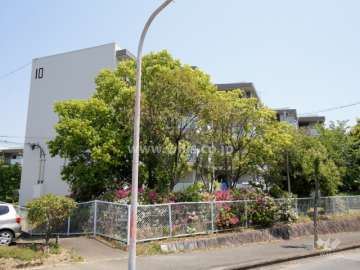陽和台第3住宅10号棟の外観（西側から）