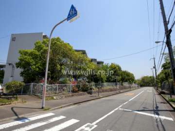敷地の南西側は二車線の通りに面しています。