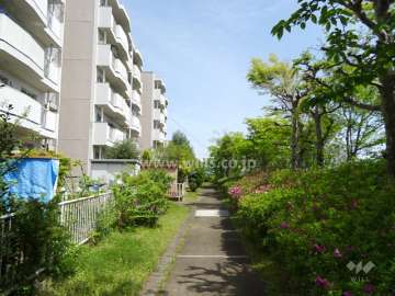 南側は遊歩道になっています。