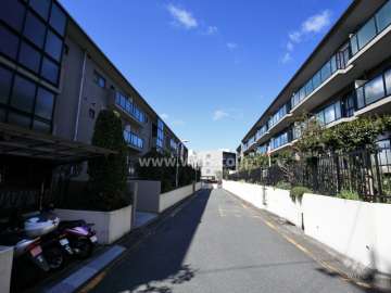 D棟南側の敷地内の通路