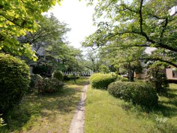 敷地内はたいへん緑豊かです。