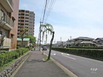 敷地西側の前面道路