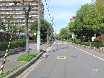 敷地西側の前面道路