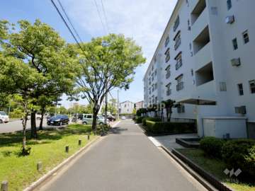 敷地北側の通路