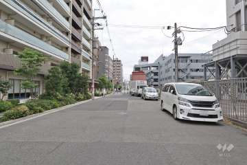 敷地西側の前面道路