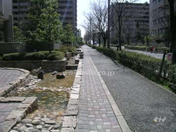 敷地の西側は街路樹がきれいな二車線のバス通りです。