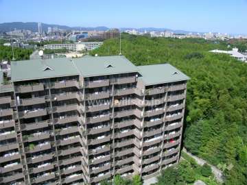 敷地の東側には竹林が広がっています。