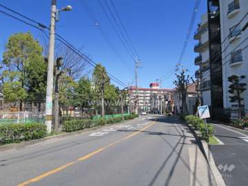 敷地西側の前面道路（北側から）