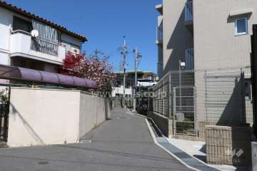 敷地北側前面道路