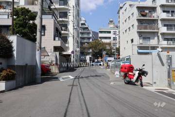 敷地西側の前面道路(南側から)